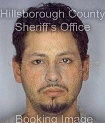 Gonzalez Carlos - Hillsborough County, FL 