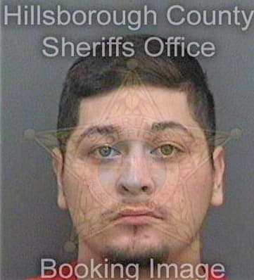 Galarza Homero - Hillsborough County, FL 