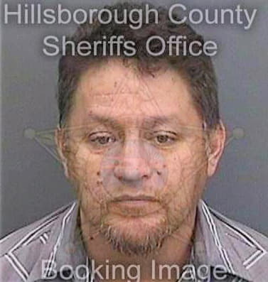 Ramos Gerardo - Hillsborough County, FL 