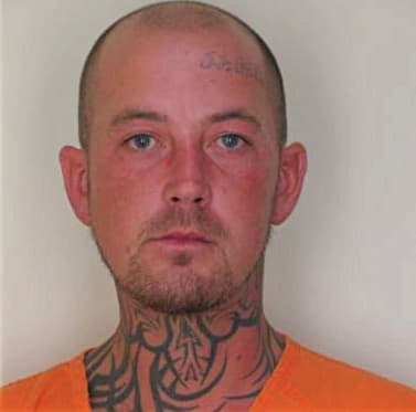 Boyer Michael - Hillsborough County, FL 