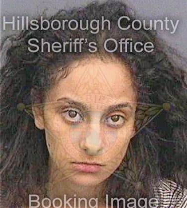 Soliman Amanda - Hillsborough County, FL 