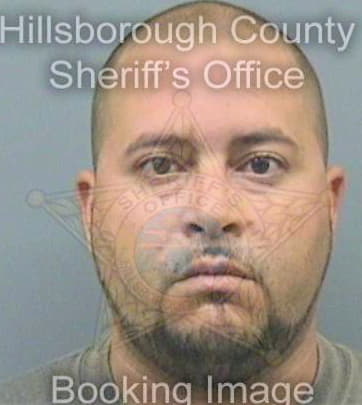 Santiago Jose - Hillsborough County, FL 