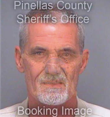 Hodzic Bego - Pinellas County, FL 