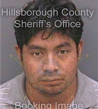 Diazperez Ernesto - Hillsborough County, FL 