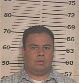 Gonzalez Michael - Hidalgo County, TX 