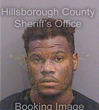 Burse Quinton - Hillsborough County, FL 