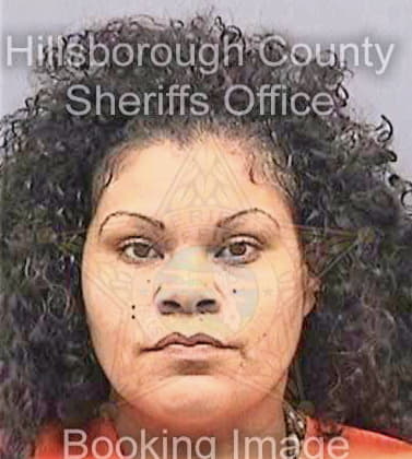 Medina Karelyn - Hillsborough County, FL 