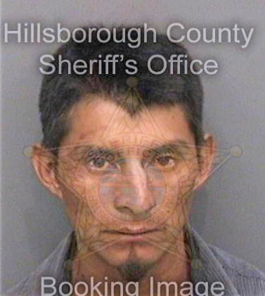 Juan Andres - Hillsborough County, FL 