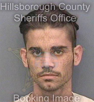 Sierrahernandez Arnold - Hillsborough County, FL 