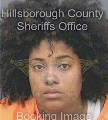 Meade Ktusha - Hillsborough County, FL 