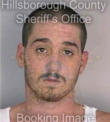 Merritt Brian - Hillsborough County, FL 