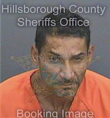 Jimenez Manuel - Hillsborough County, FL 