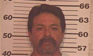 Hernandez Martin - Hidalgo County, TX 