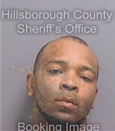 Johnson Sedrick - Hillsborough County, FL 