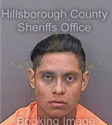 Santizgomez Roberto - Hillsborough County, FL 