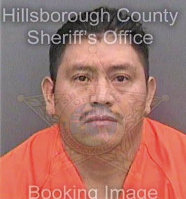 Perezlucas Javier - Hillsborough County, FL 