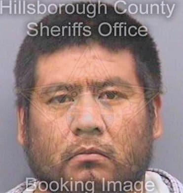 Martinez Juan - Hillsborough County, FL 