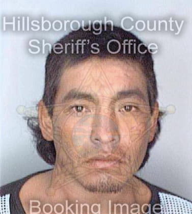 Rodriguez Carlos - Hillsborough County, FL 