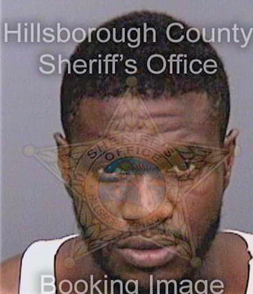 Bradley Azarius - Hillsborough County, FL 