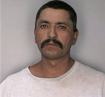 Gonzalez Esaul - Hillsborough County, FL 