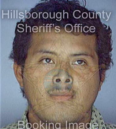 Guerra Ciro - Hillsborough County, FL 