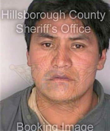 Gomezlopez Santos - Hillsborough County, FL 