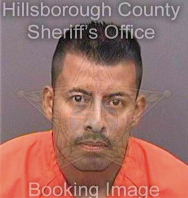 Mendoza Bernabe - Hillsborough County, FL 