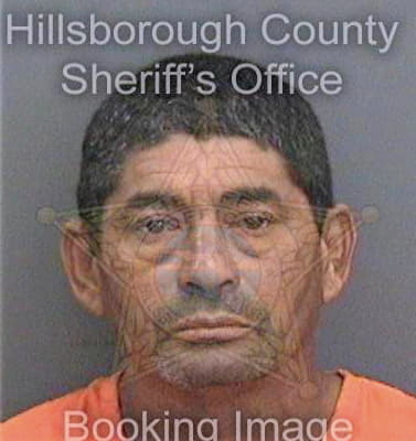 Coello Abel - Hillsborough County, FL 