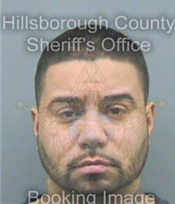 Ortiz Michael - Hillsborough County, FL 