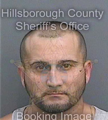 Figueroa Reinaldo - Hillsborough County, FL 