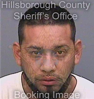 Herrera Jose - Hillsborough County, FL 