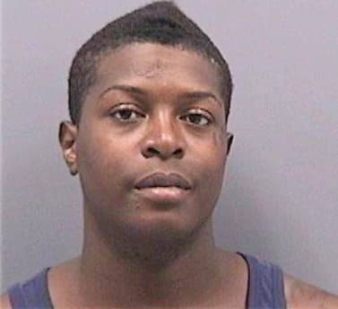 Mcintyre Piere - Hillsborough County, FL 