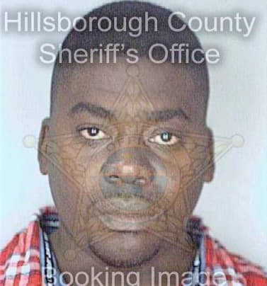 Johnson Desmond - Hillsborough County, FL 