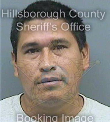 Benitez Yubis - Hillsborough County, FL 