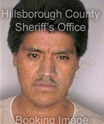 Vasquez David - Hillsborough County, FL 