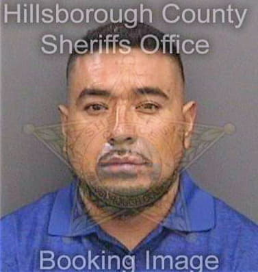 Fernandezguerrero Jose - Hillsborough County, FL 