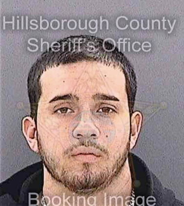 Fernandez Mario - Hillsborough County, FL 