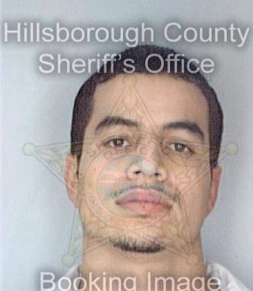 Davis Perez - Hillsborough County, FL 