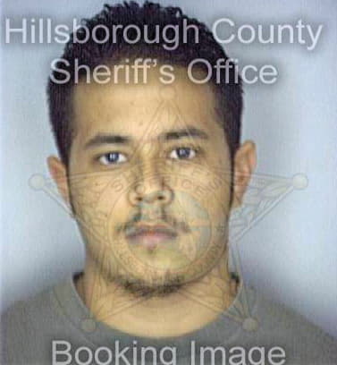 Lucas Giannino - Hillsborough County, FL 