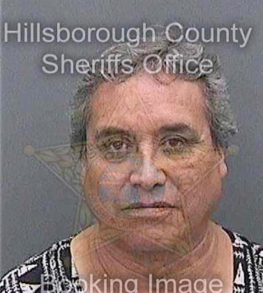 Fernandez Jose - Hillsborough County, FL 