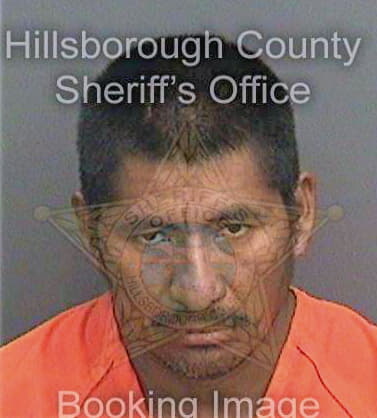 Lopez Miguel - Hillsborough County, FL 