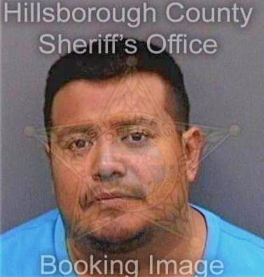 Diazrodriguez Lugo - Hillsborough County, FL 