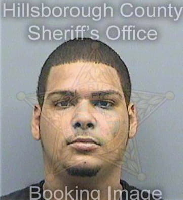 Gonzalezmarrero Hector - Hillsborough County, FL 