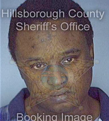 Mcduffie Michael - Hillsborough County, FL 