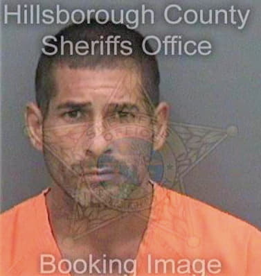 Marquezoliva Yoel - Hillsborough County, FL 