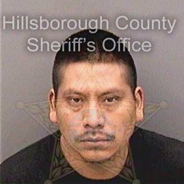 Lopez Yovanni - Hillsborough County, FL 