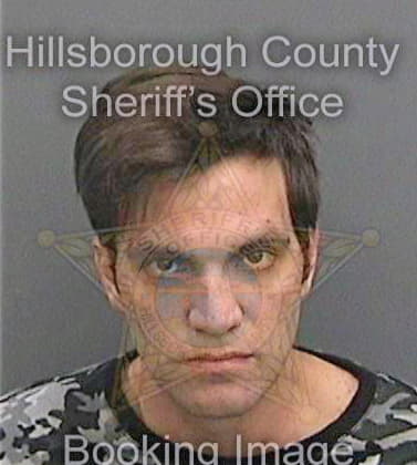 Carlson William - Hillsborough County, FL 