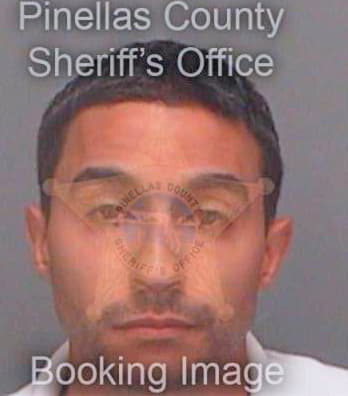 Delgado Robert - Pinellas County, FL 