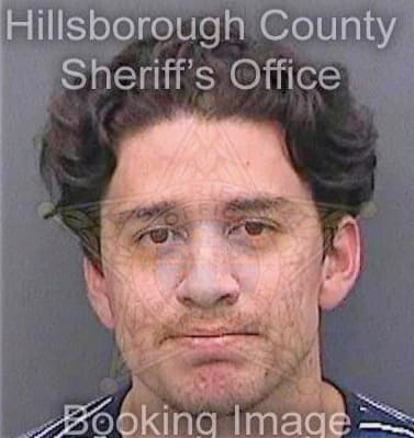 Orrego Daniel - Hillsborough County, FL 