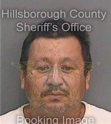 Rivera Miseal - Hillsborough County, FL 
